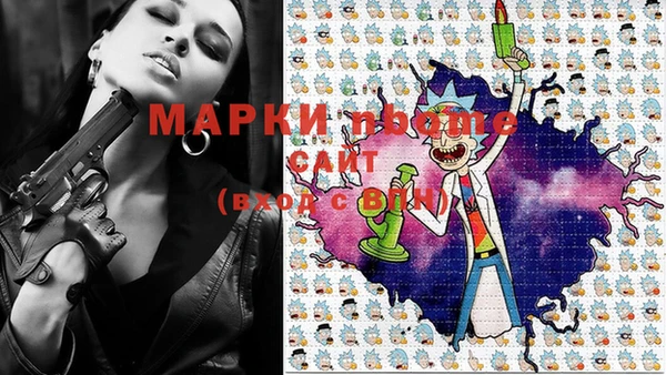 гидра Кинешма