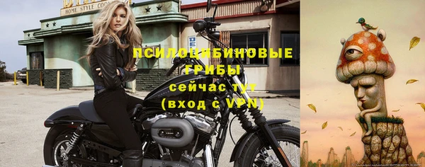 mdpv Киренск